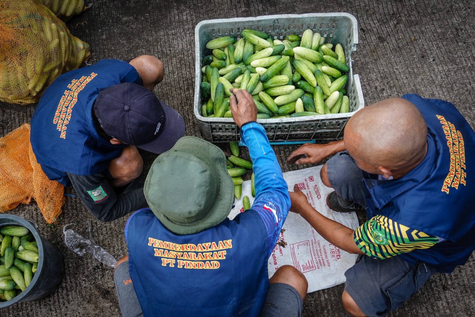 Kelompok Pemberdayaan Masyarakat Binaan TJSL Pindad Panen Timun