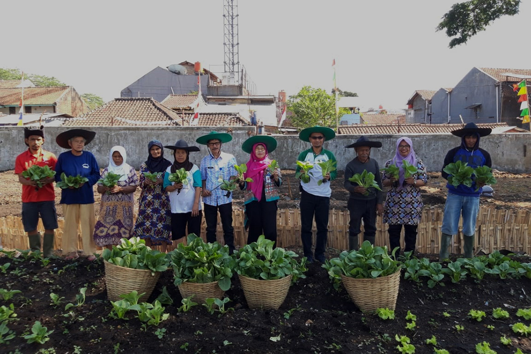 PKBL Pindad Invites Residents Harvesting Organic Vegetable