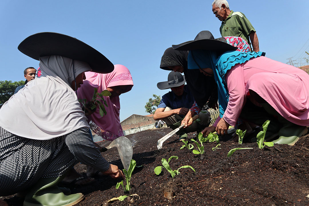Pindad Together with Residents Utilize Pindad TPST Land for Urban Farming